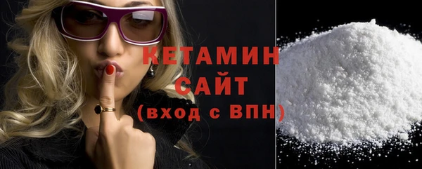 индика Медвежьегорск