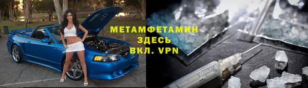 индика Медвежьегорск