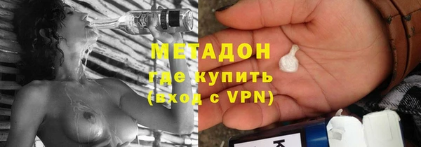 индика Медвежьегорск