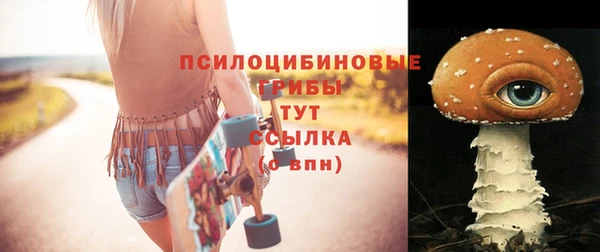 индика Медвежьегорск