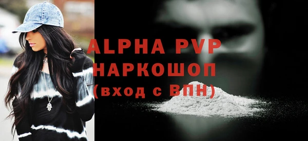 индика Медвежьегорск