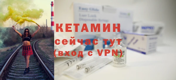 индика Медвежьегорск