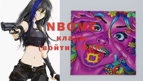 индика Медвежьегорск