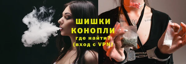 индика Медвежьегорск