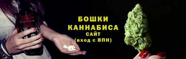 индика Медвежьегорск