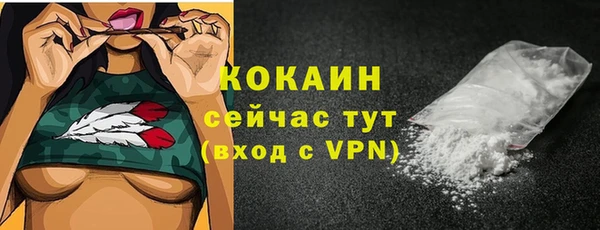 индика Медвежьегорск