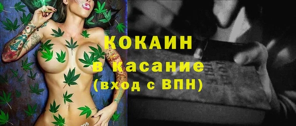 индика Медвежьегорск