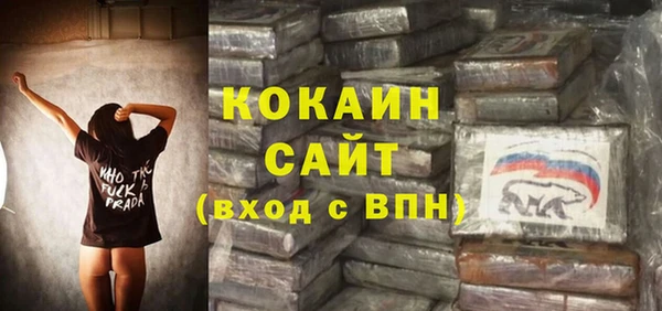 индика Медвежьегорск