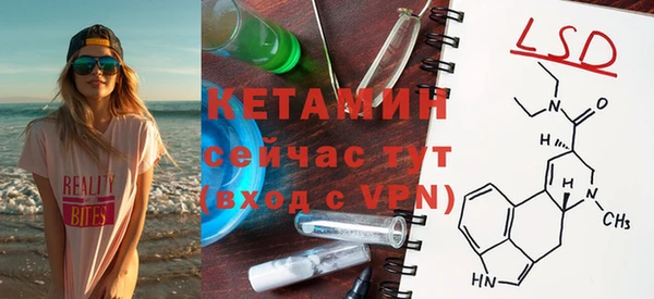 индика Медвежьегорск