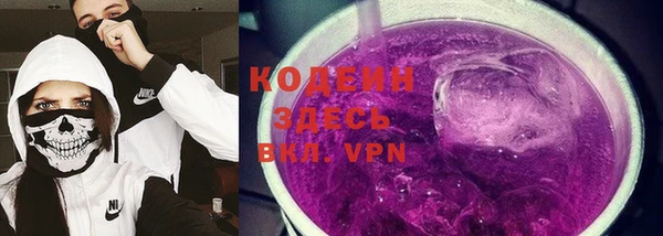 индика Медвежьегорск
