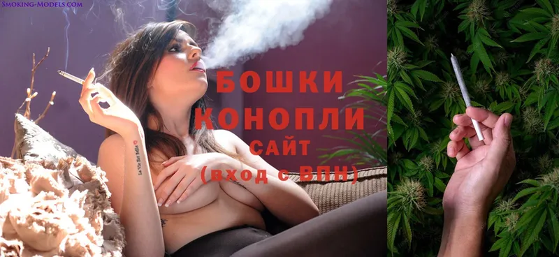 Конопля SATIVA & INDICA  Шлиссельбург 